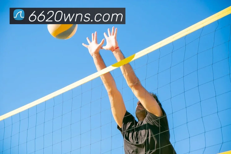 澳门威尼斯人网站发展历程